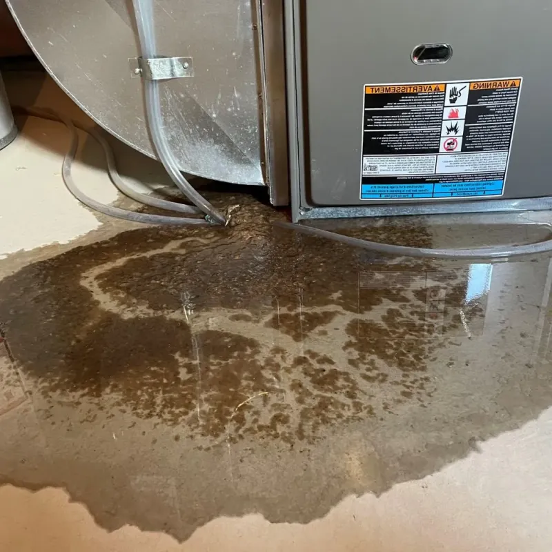 Pipe Burst and Leak Restoration in Eagleton Village, TN